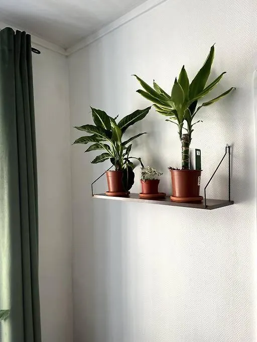 Apartamento Appartement Parisien